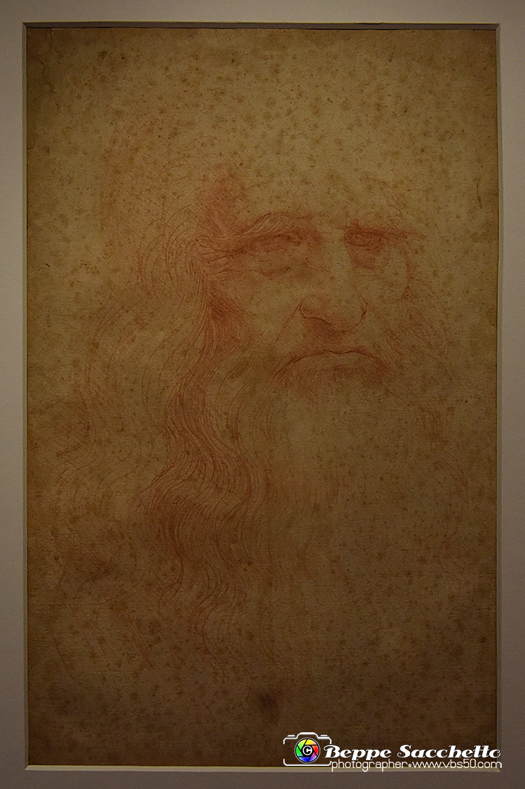 VBS_9766 - Mostra A tu per tu con Leonardo.jpg